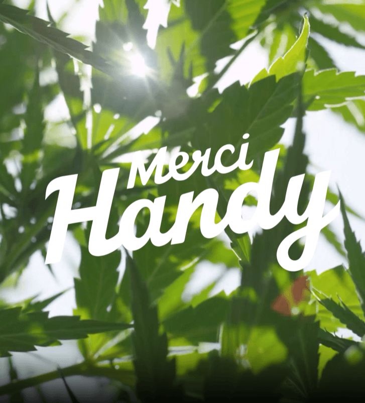 Merci Handy — Skincare au chanvre