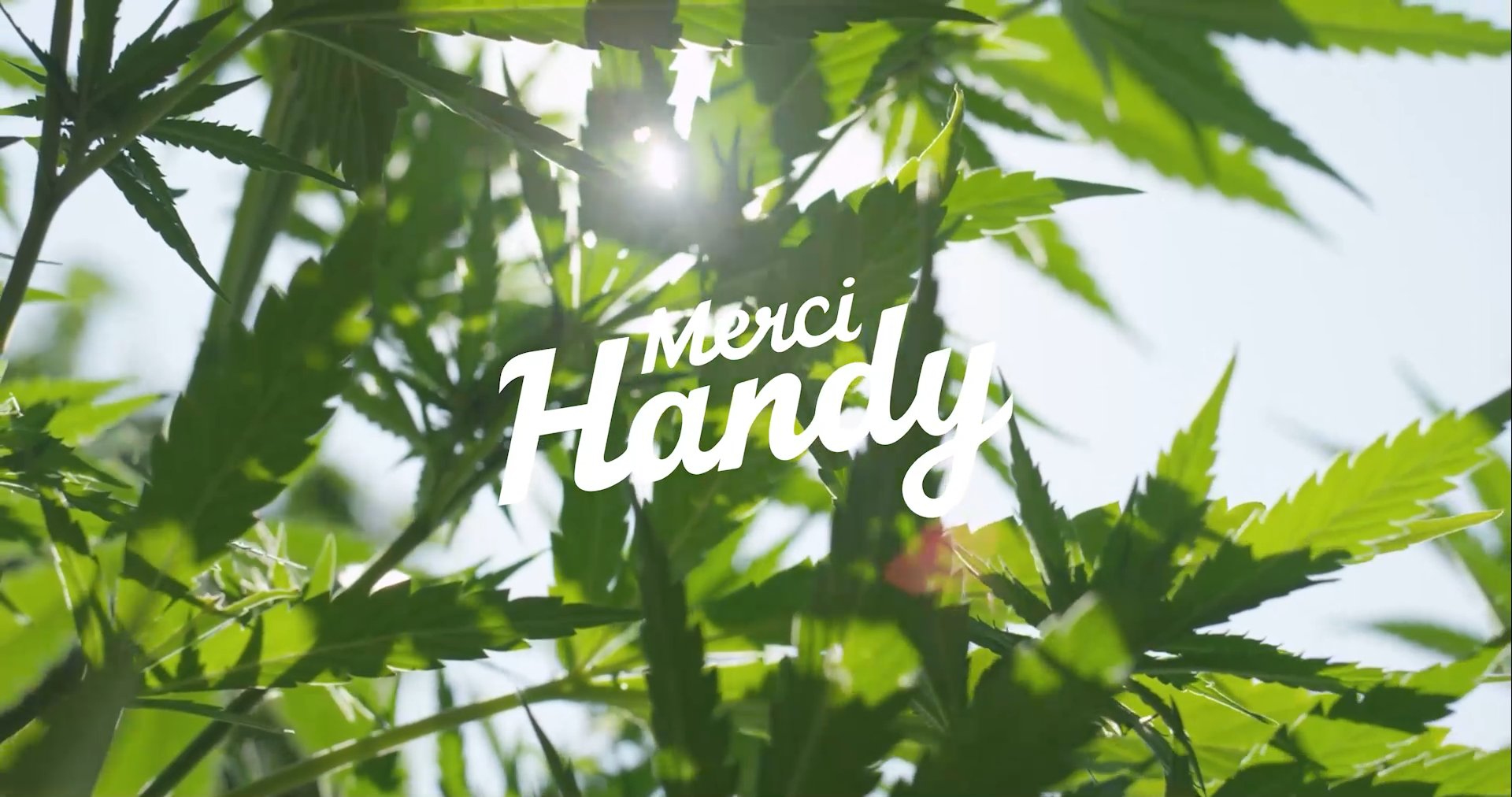 Merci Handy — Skincare au chanvre — vidéo 1