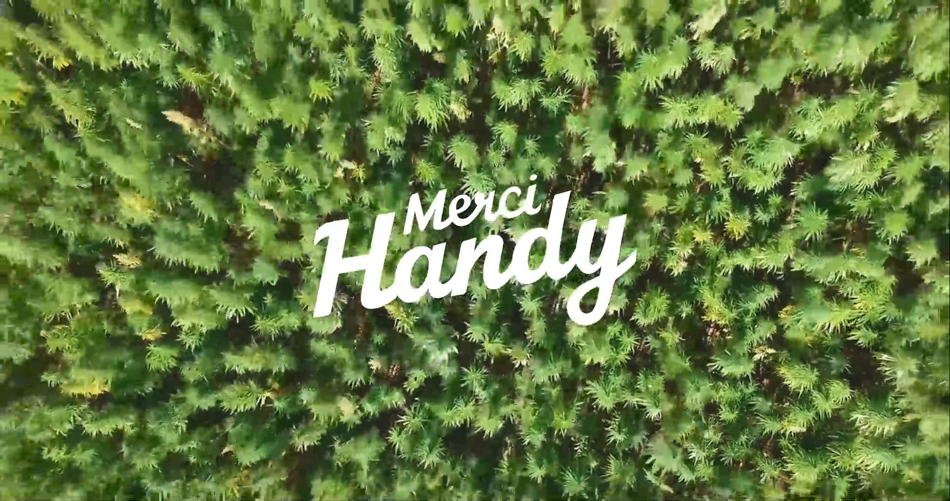 Merci Handy — Skincare au chanvre — vidéo 3