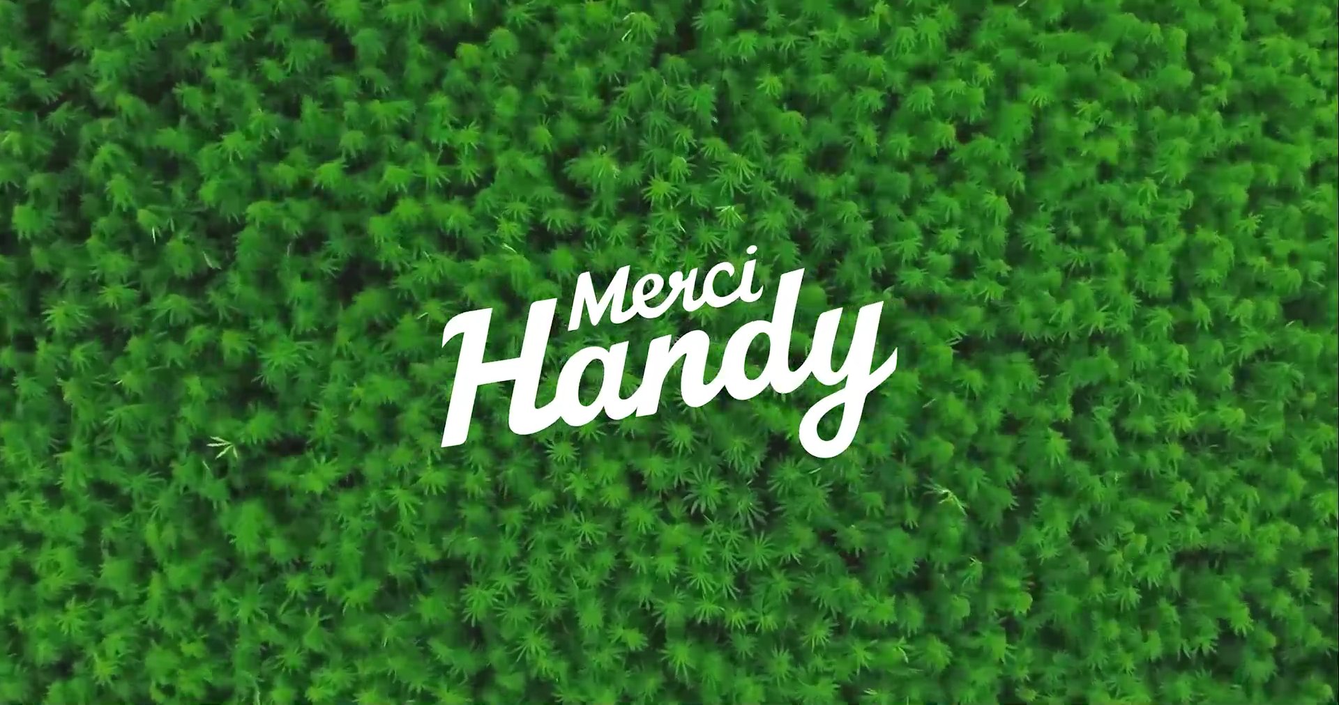 Merci Handy — Skincare au chanvre — vidéo 4